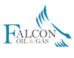 Falcon Oil & Gas Ltd. - Notice of Special Meeting of Shareholders and Management Information Circular